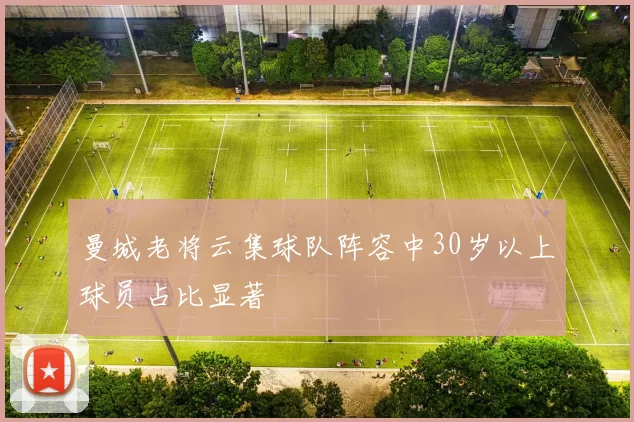 曼城老将云集球队阵容中30岁以上球员占比显著