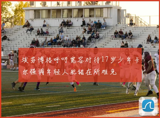 埃芬博格呼吁宽容对待17岁少年卡尔强调年轻人犯错在所难免